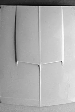 Fresh Stock Ford Mustang CPC Hood - BOD-067-604