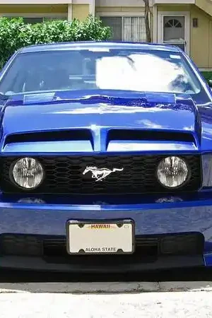 Big Sale Ford Mustang CPC Hood - BOD-058-103