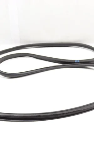 Reduced Price Audi Rear Outer Door Seal / Weather Stripping 4G5839911