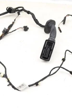 Price Drop BMW Front Right Door Wiring Harness (X5, X6) 61129365808