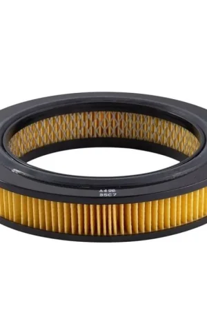 Time-Limited Ryco Air Filter - A496