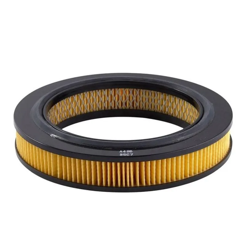 Time-Limited Ryco Air Filter - A496