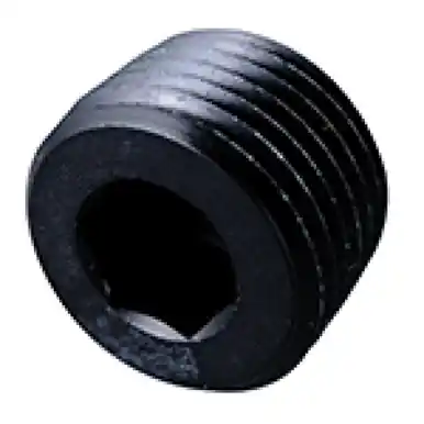 Direct From Factory Fragola 1/8 NPT Pipe Plug- Internal Black - 493202-BL