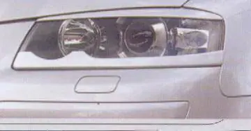 Next Day Delivery Upper Eyebrow