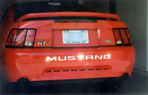 Hassle-Free Returns Mustang Stainless Steel Bumper Insert