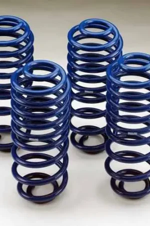 In Demand Lowering Suspension Drop Coil Kit - 1033