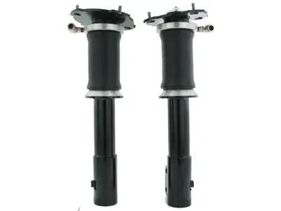 Express Delivery Rear Air Bag Suspension Kit - 75688