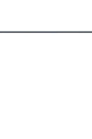 Authentic Windshield Weatherstrip Molding for 1993-1997 Mazda 626 Sedan 4-Door WFS F719