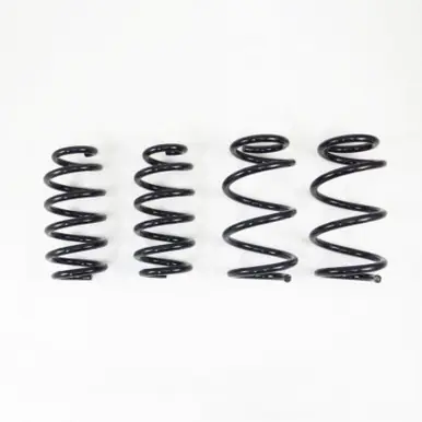 Bulk Order RS-R 19+ Tesla Model 3 AWD Down Sus Springs - TL002TD