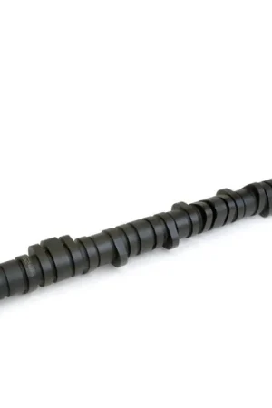 Fan Favorite Skunk2 Tuner Series D-Series Honda Stage 2 Camshaft