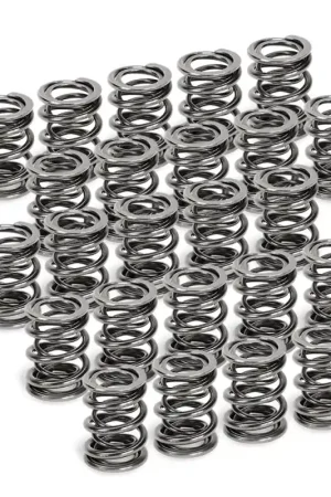 Supertech BMW M50/M52/S50/S52 Dual Valve Spring - Set of 24 Discount