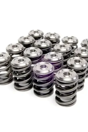 Skunk2 Alpha Series Honda/Acura B Series Valve Spring and Titanium Retainer Kit Worldwide Shipping