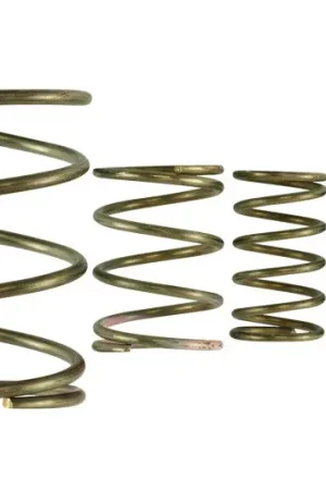 Turbosmart Gen V WG38/40 Spring Replacement Kit Express Delivery