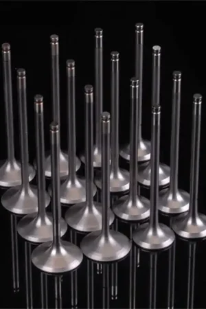 Skunk2 Ultra Series Honda/Acura Stock Size K Series VTEC Valve Set (STD Compression) Secure Checkout