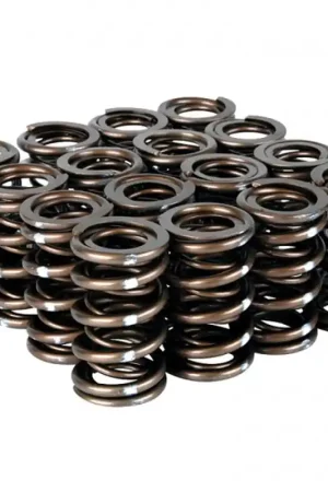 Skunk2 Pro Series Honda/Acura K-Series i-VTEC XP Valve Spring Set (Dual Springs) Limited Edition