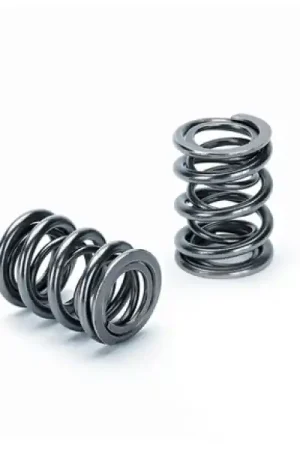 Exclusive Offer Supertech Honda B16A/B17A/B18C Dual Valve Spring - Set of 16