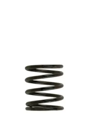 Turbosmart WG40 3PSI Inner Spring Brown/Black Best Choice