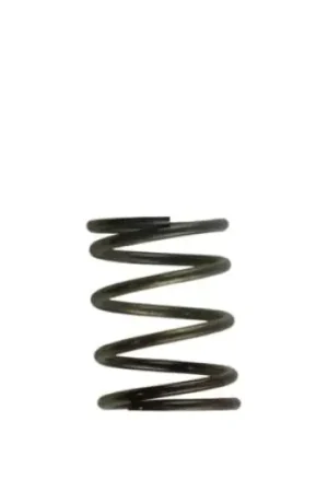 Trusted Brand Turbosmart WG40 5PSI Inner Spring Brown/Grey