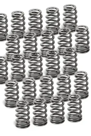 Grab Now Supertech BMW N54 Conical Valve Springs - Set of 24